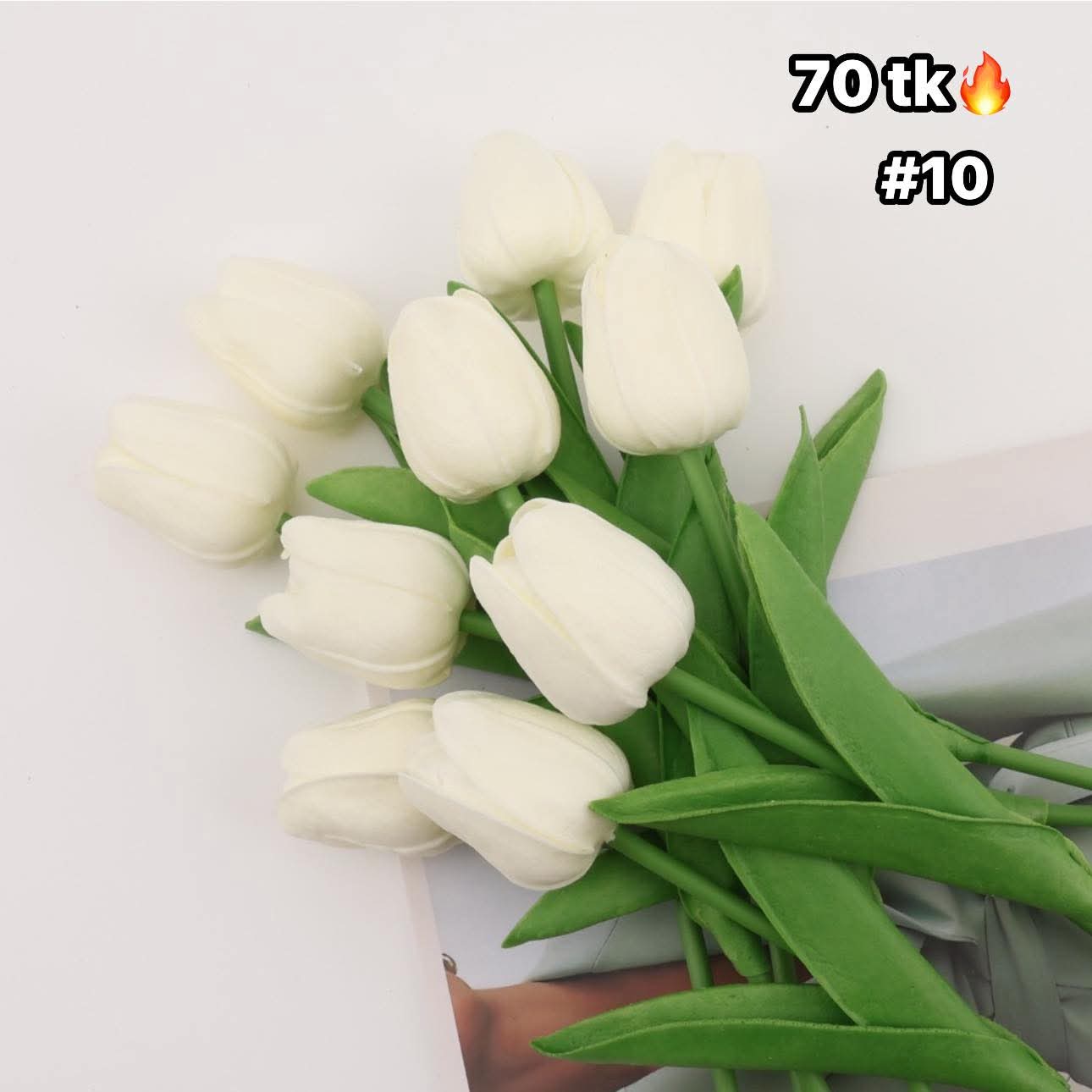 Tulip-NS4613_img_10