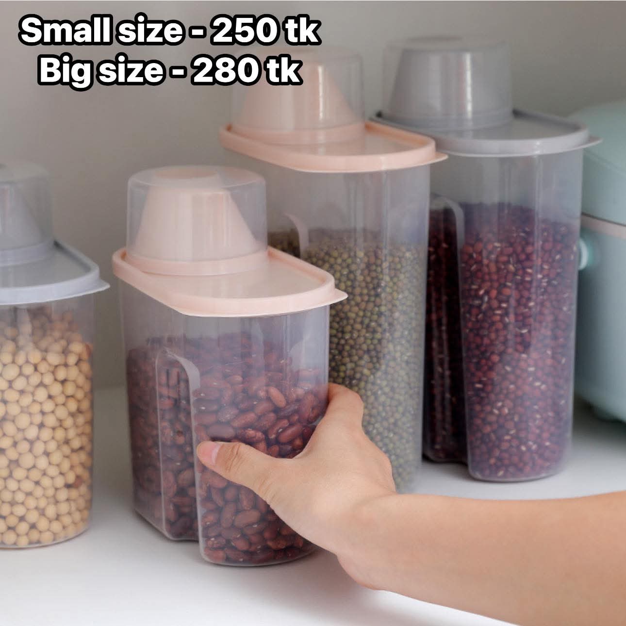 Dry Food container Big-NS4631
