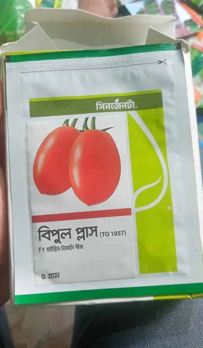 F1 হাইব্রিড টমেটো বীজ বিপুল প্লাজা ( To 1057 ) । F1 Hybrid Tomato Seeds Bipul Plus (To 1057)._img_0