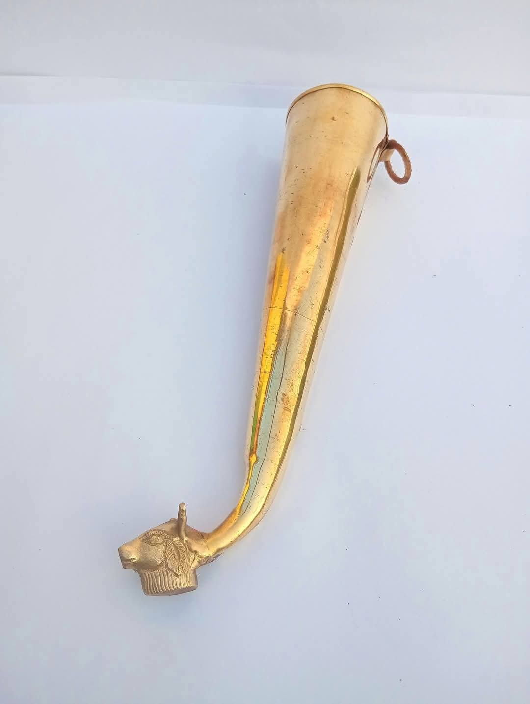 মহাদেবের গোমুখী শিং ১১ ইঞ্চি - Image 1