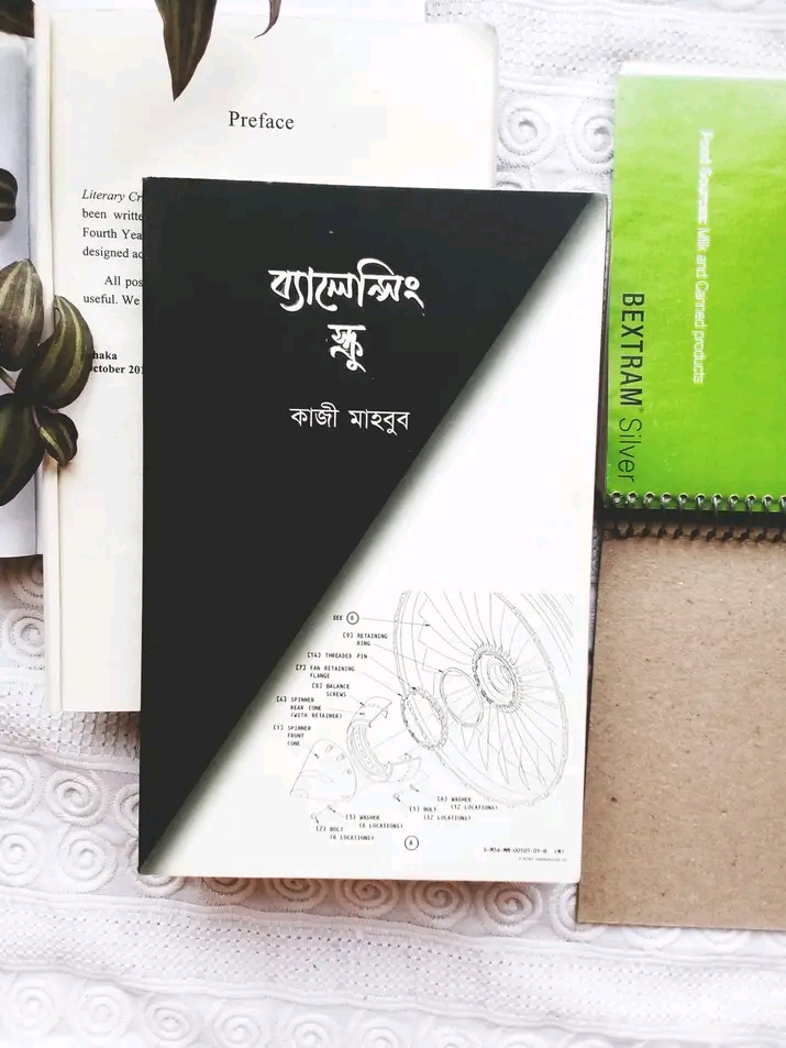 ব্যালেন্সিং স্ক্রু"