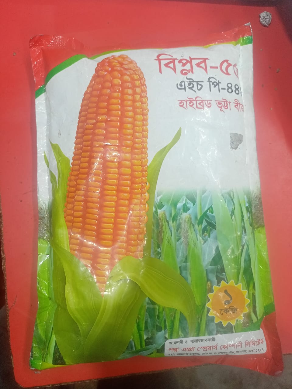 হাইব্রিড ভুট্টার বীজ বিপ্লব ৫৫ ( এইচ পি - ৪৪৪ ) । Hybrid corn seed Biplob 55 ( H P - 444 )