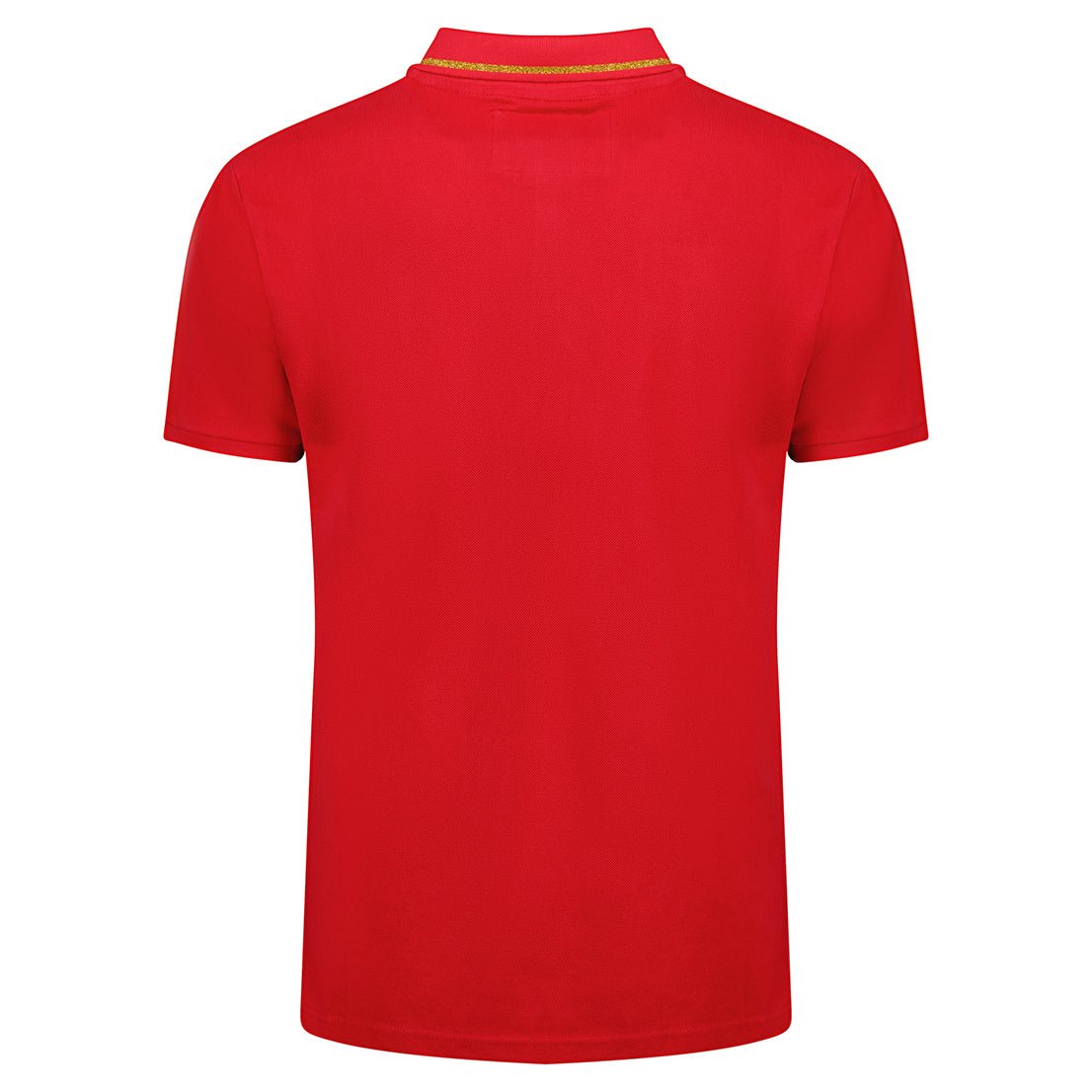 men's polo t-shirt_img_2
