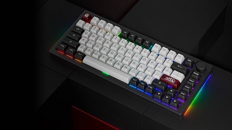 Akko 5075B Plus V2 Dracula Castle 75% Hot Swappable Mechanical Keyboard_img_5