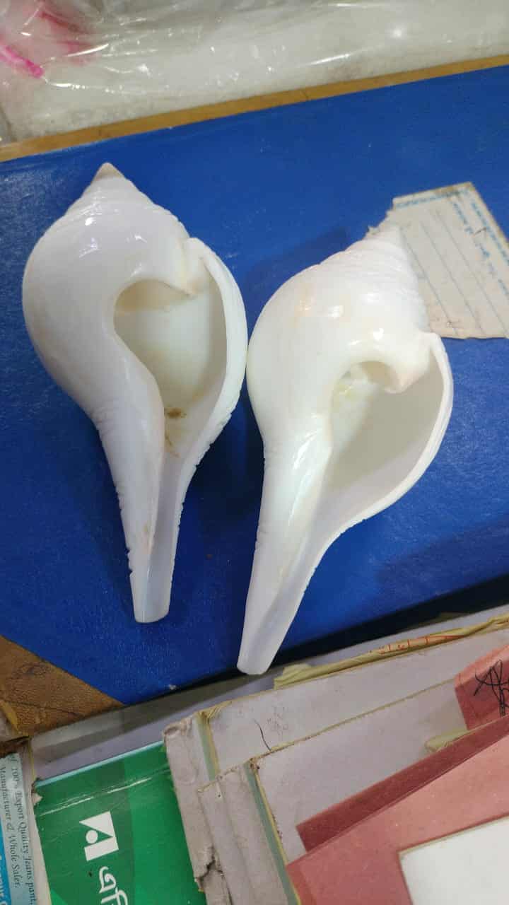পেটকাটা জনসংখ্যা - Image 1
