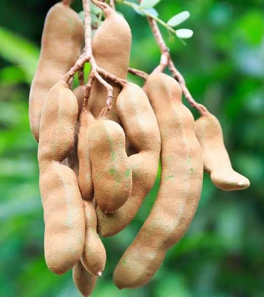 থাই মিষ্টি তেঁতুল