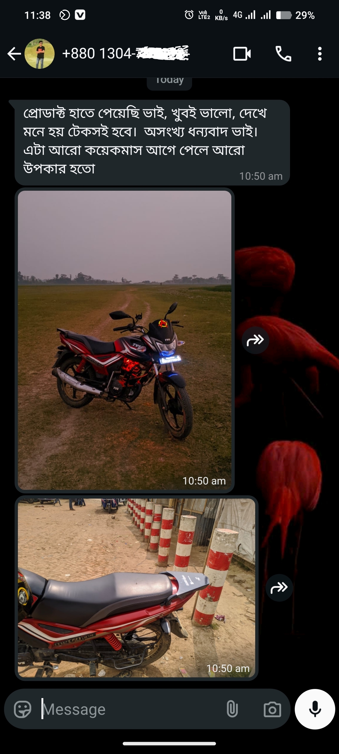 Parthib Boisnob review