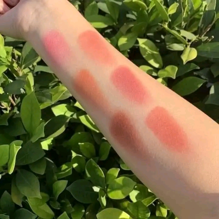 IMAGIC TOUCH BLUSH PALETTE_img_3
