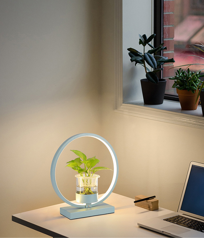Modern Nordic Creative LED Indoor Round Hydroponic Plant Growth Table Lamp for Home Living Room_img_1