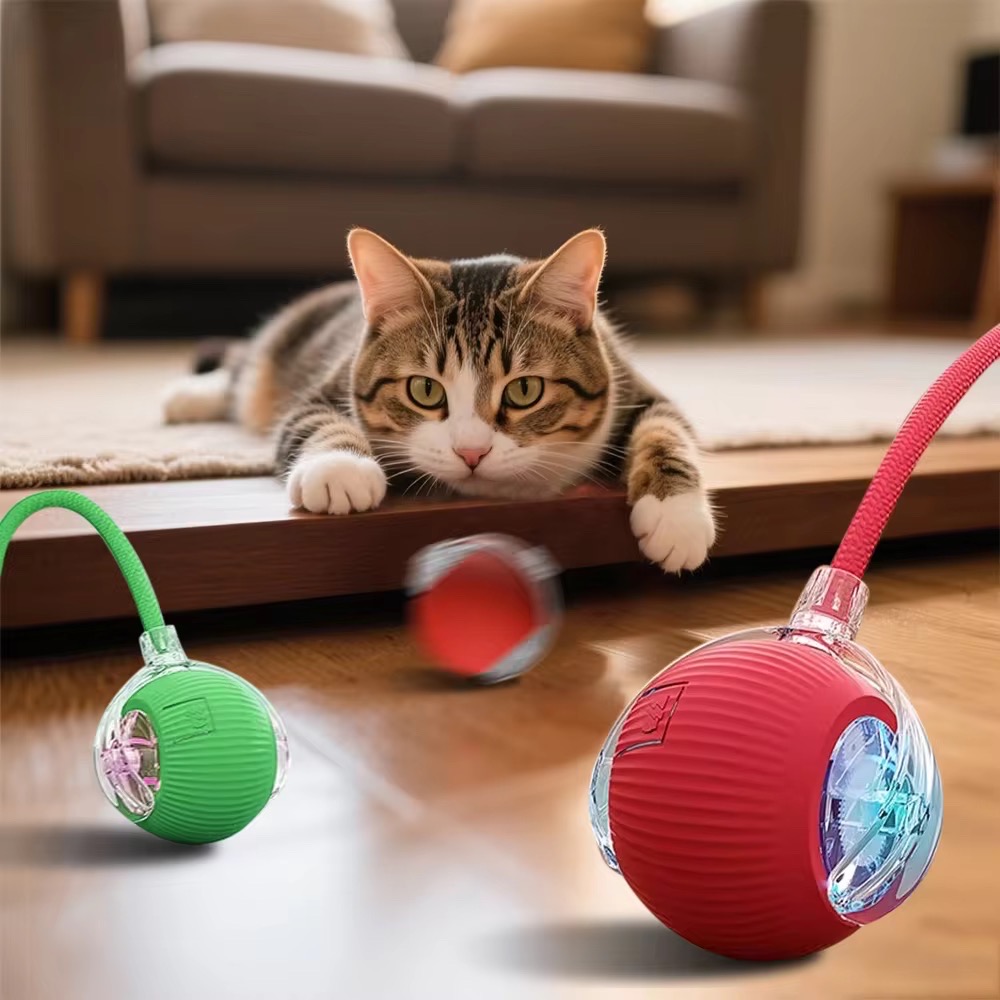 Pet Toy Ball_img_0