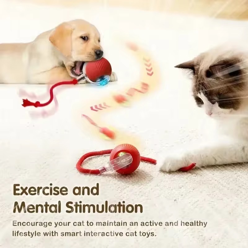 Pet Toy Ball_img_1