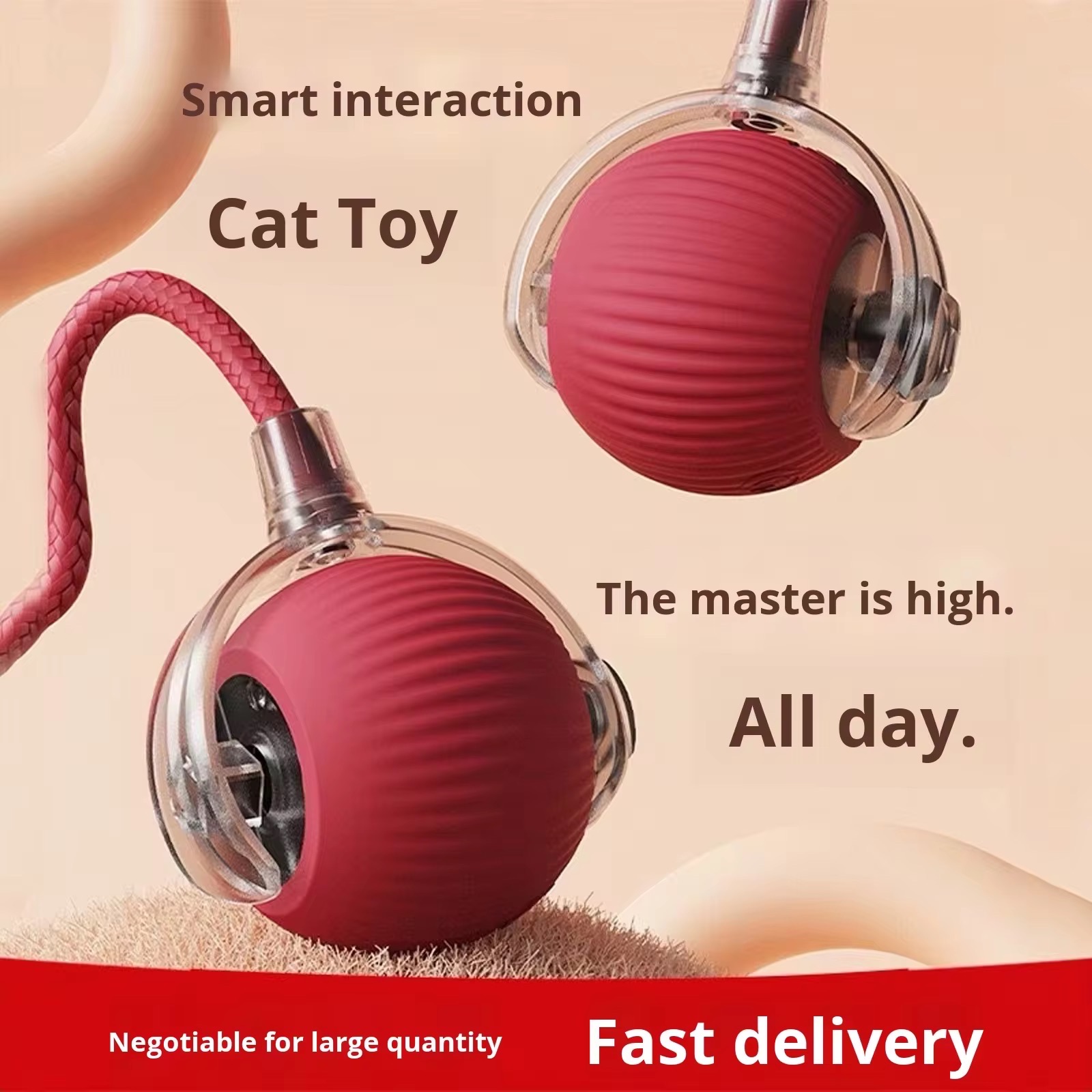 Pet Toy Ball_img_2
