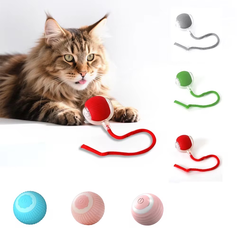 Pet Toy Ball_img_5