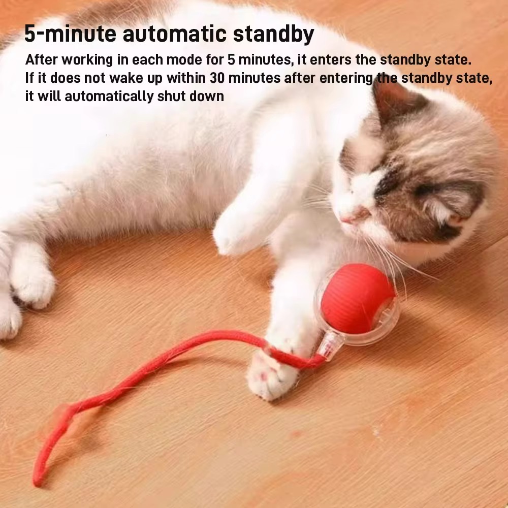 Pet Toy Ball_img_6
