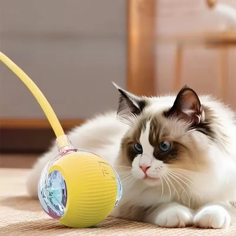 Pet Toy Ball_img_10