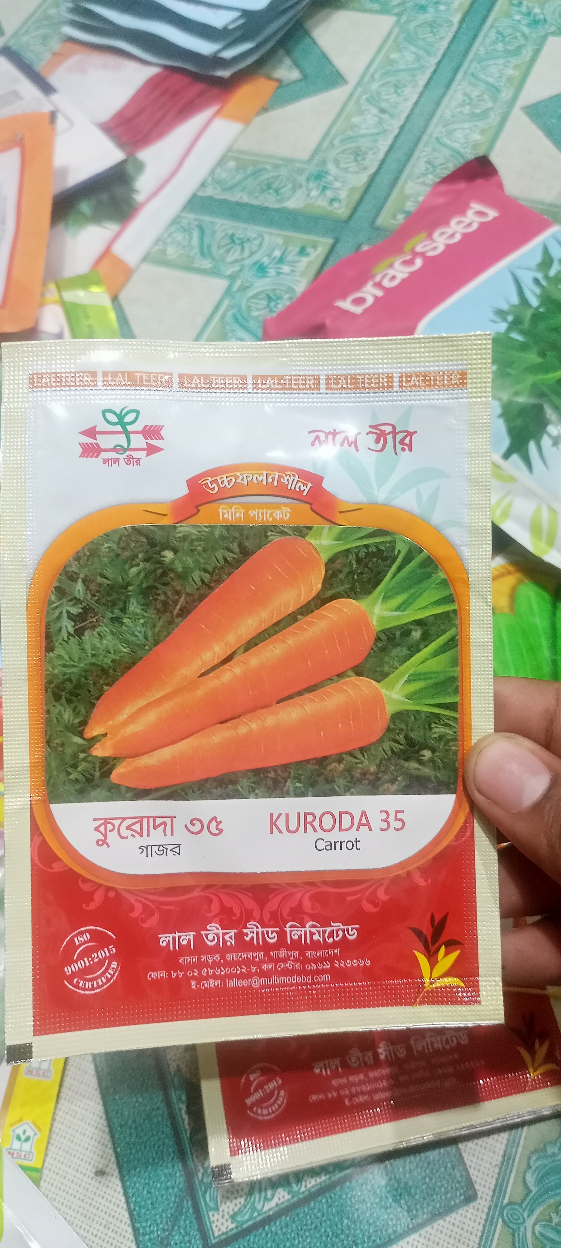 গাজর / গাজরের 🥕 বীজ কুরোদা ৩৫ । Carrot 🥕 seeds KURODA 35