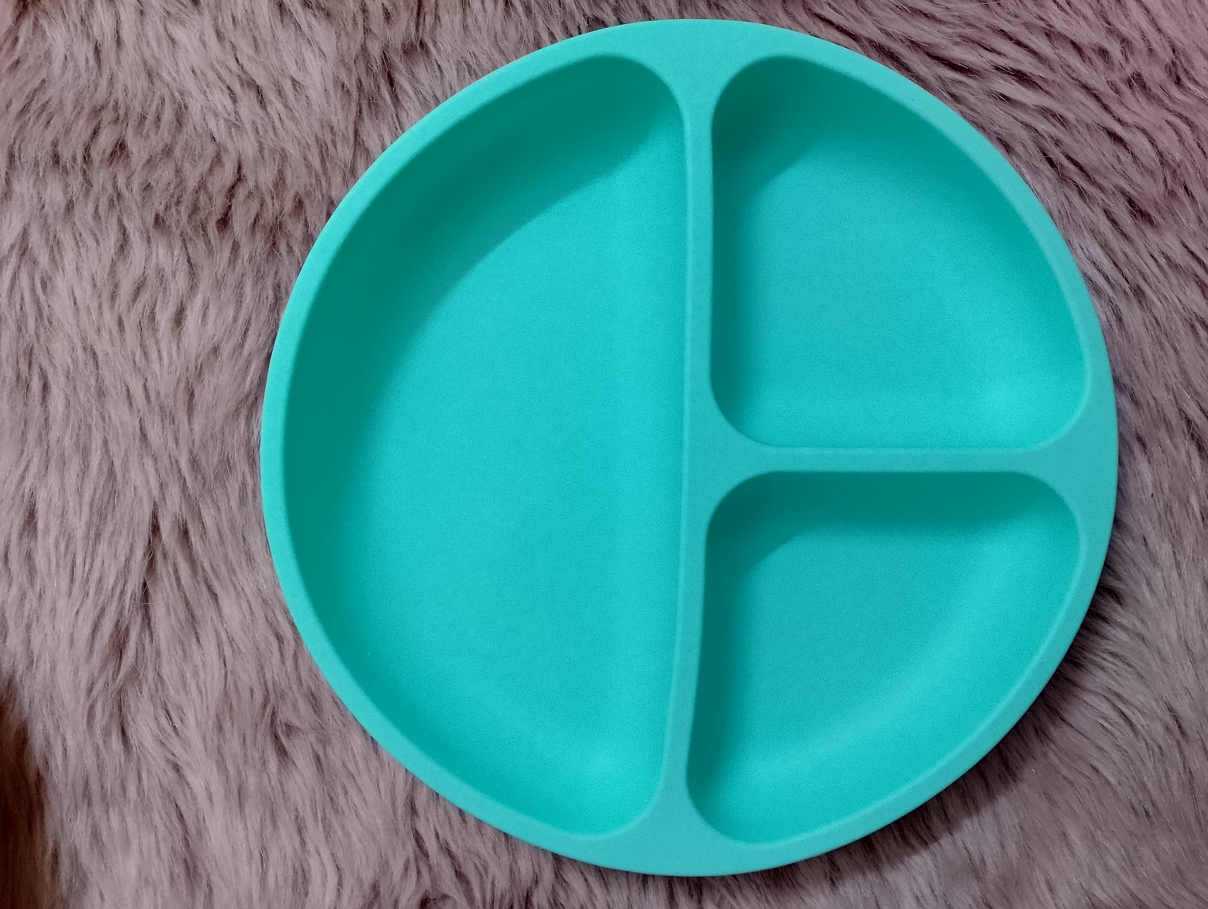 Silicon Plate_img_1