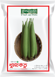 হাইব্রিড ধুন্দল ধুমকেতু।  F1 Hybrid Sponge gourd seeds Dhumketu_img_0