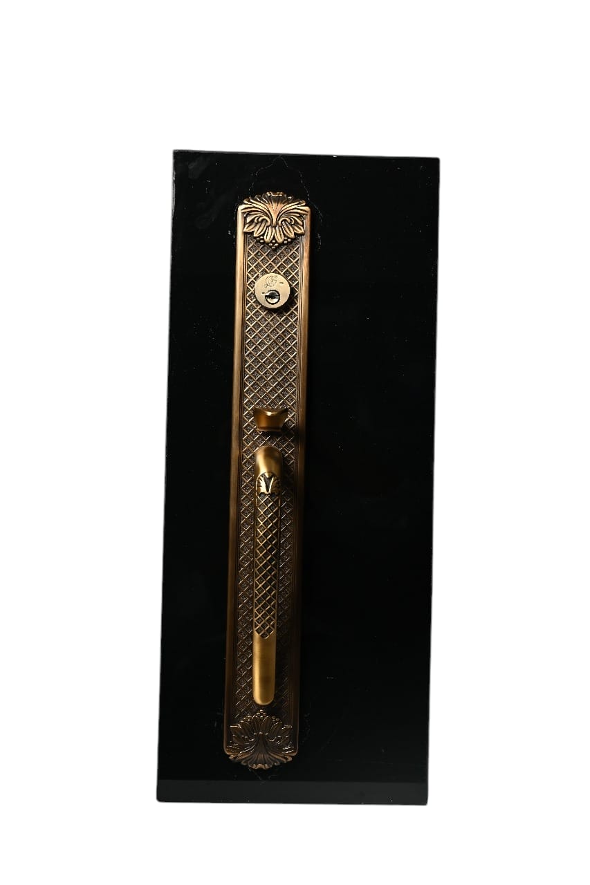 Main Door Lock_img_4