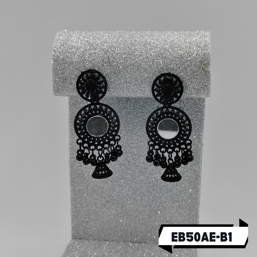 EBER-B1