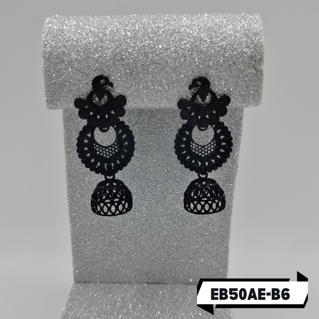 EBER-B6