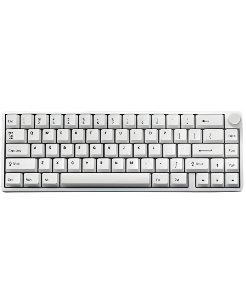 EWEADN C65 V2 Wired Gasket hotswappable mechanical keyboard