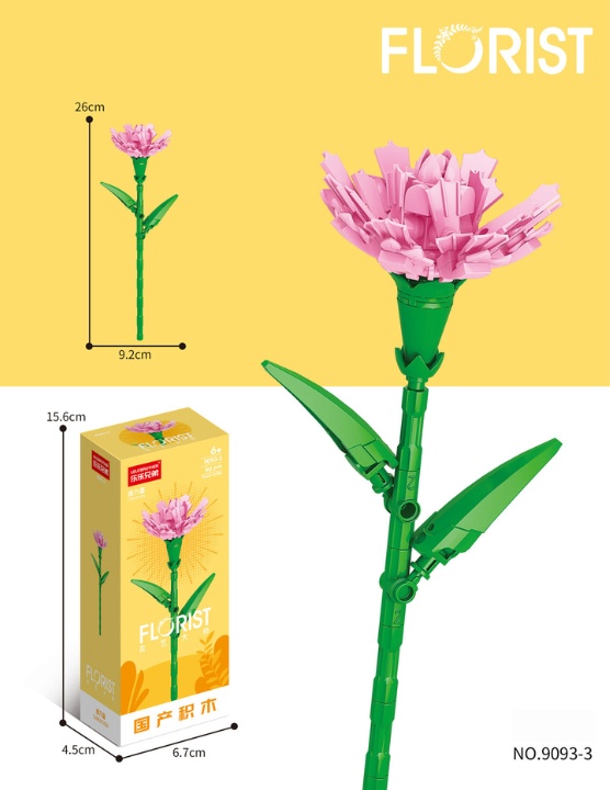 Carnation