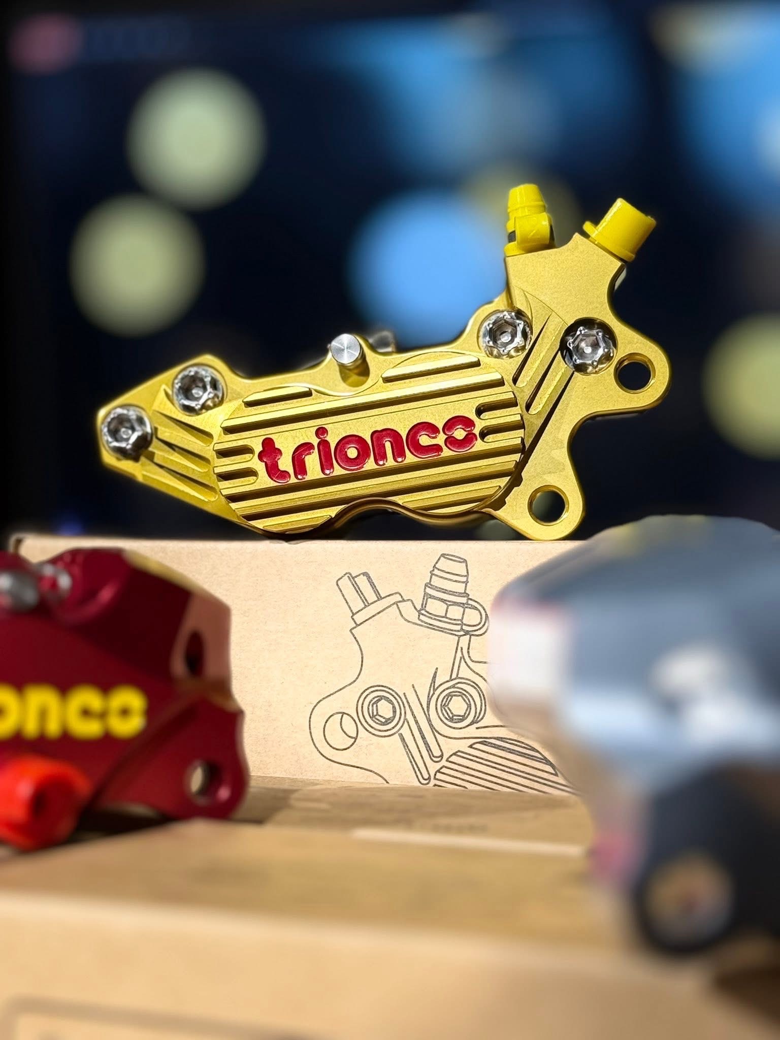Trionce A3 P4 Brake Caliper