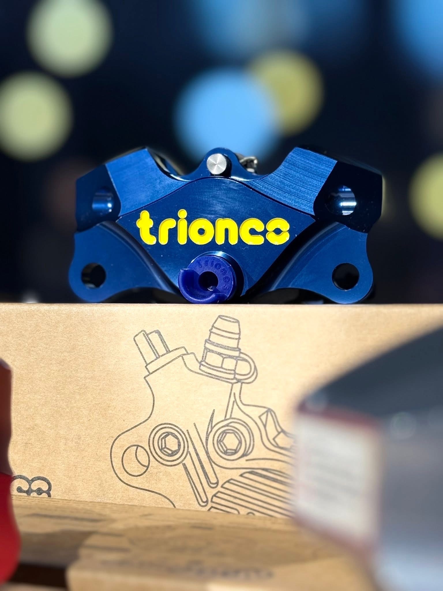 Triones A84 P2 Rear Brake Caliper