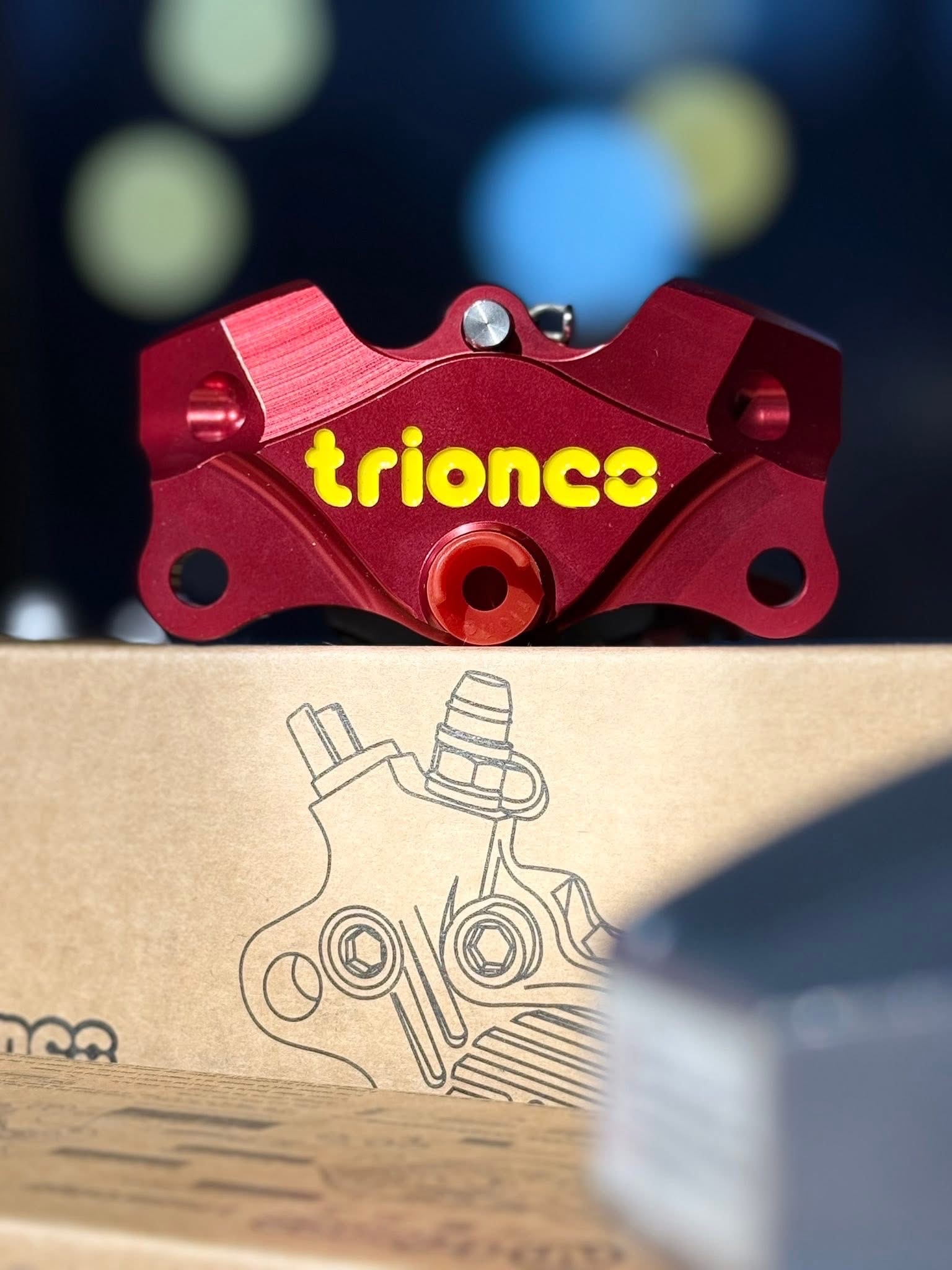 Triones A84 P2 Rear Brake Caliper_img_1