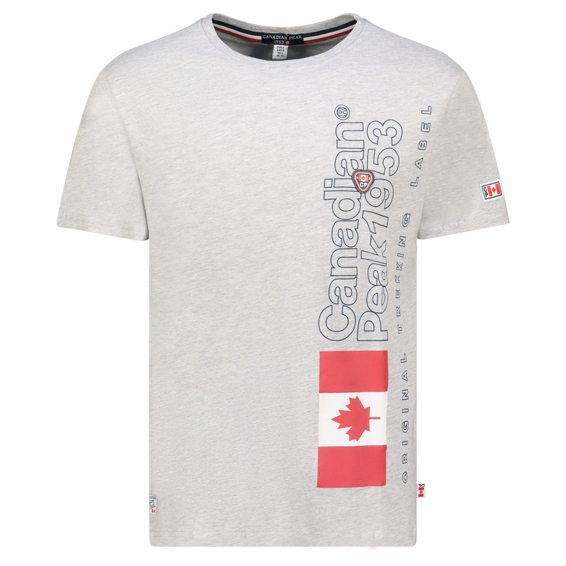T-Shirt Col Rond avec Impressions et Drapeau GRIS CLAIR
