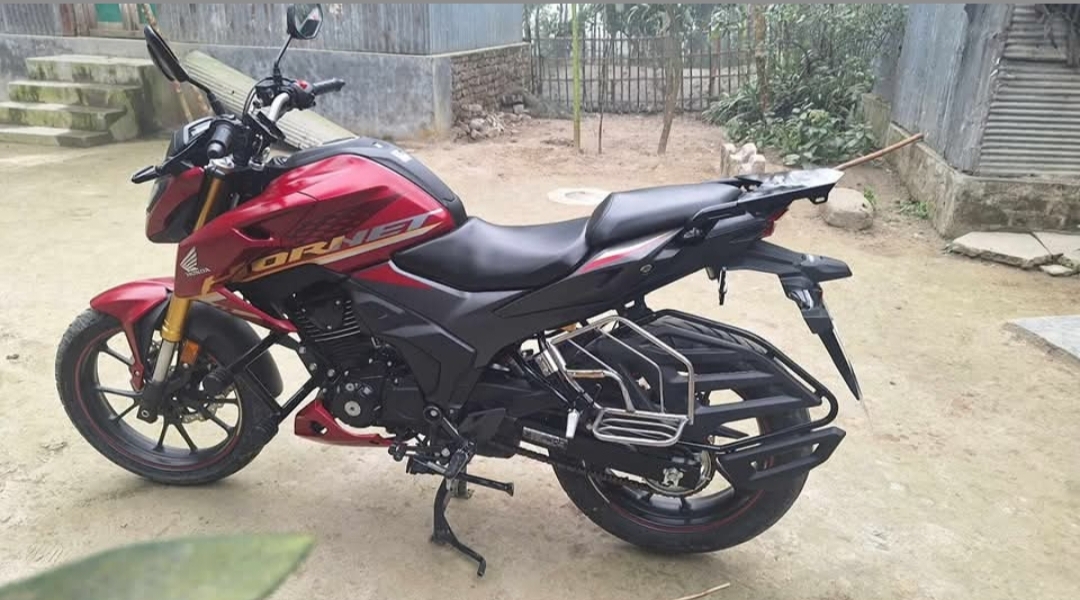 Premium Saddle Stay / Touring Setup For Hornet & Honda Hornet 2.0_img_3
