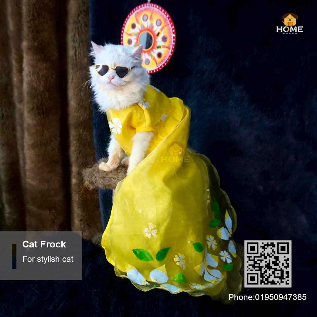 cat gown_img_0