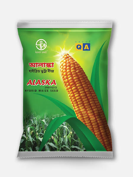 হাইব্রিড ভুট্টা আলাস্কা। Hybrid Maize Alaska