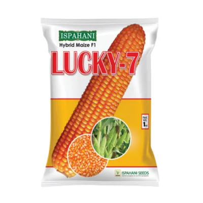 হাইব্রিড ভুট্টা লাকি সেভেন ৭ । Hybrid Maize Lucky 7_img_0