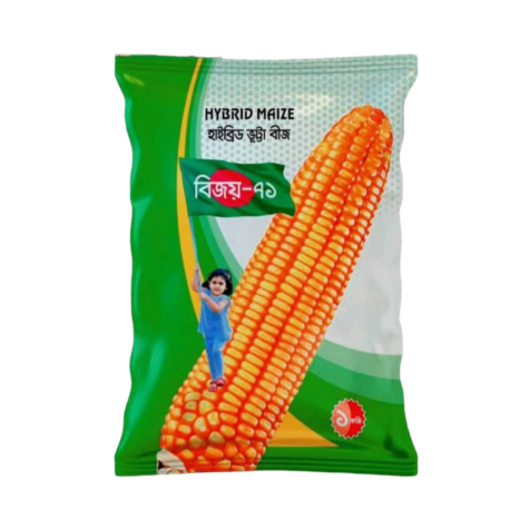হাইব্রিড ভুট্টা বিজয় ৭১ । Hybrid Maize Bijoy 71
