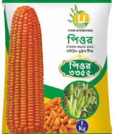 হাইব্রিড ভুট্টার বীজ পিওর ৩৩৫৫ । Hybrid corn seed pure 3355_img_0