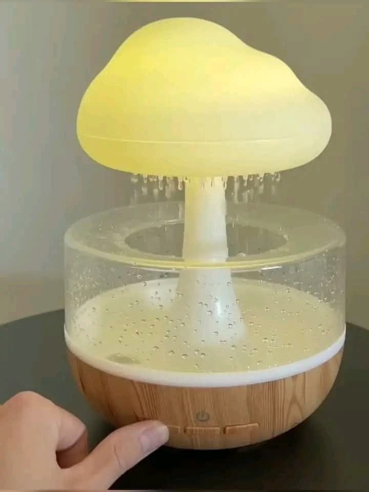 Rain Cloud Aromatherapy Diffuser & Humidifier_img_4
