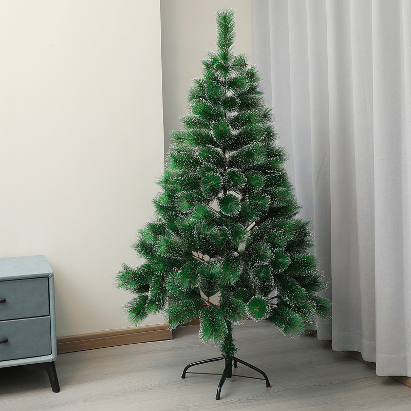Premium Snow Pine Tree ( 2 Feet - 8 Feet )