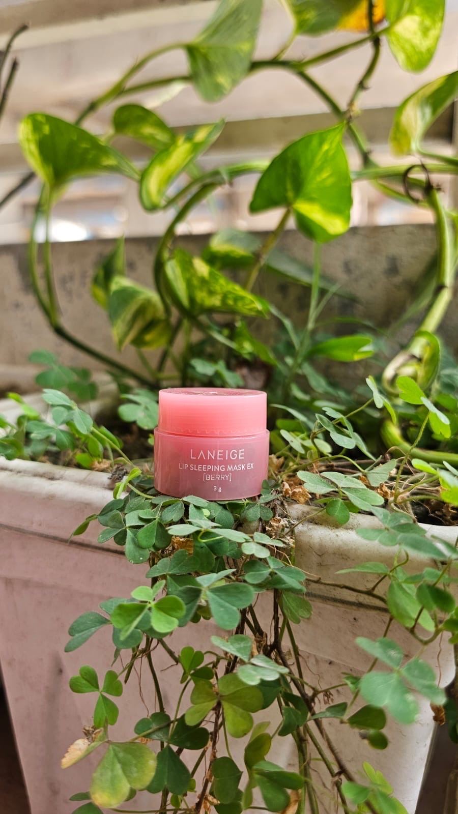 LANEIGE Lip Sleeping Mask EX [Berry]