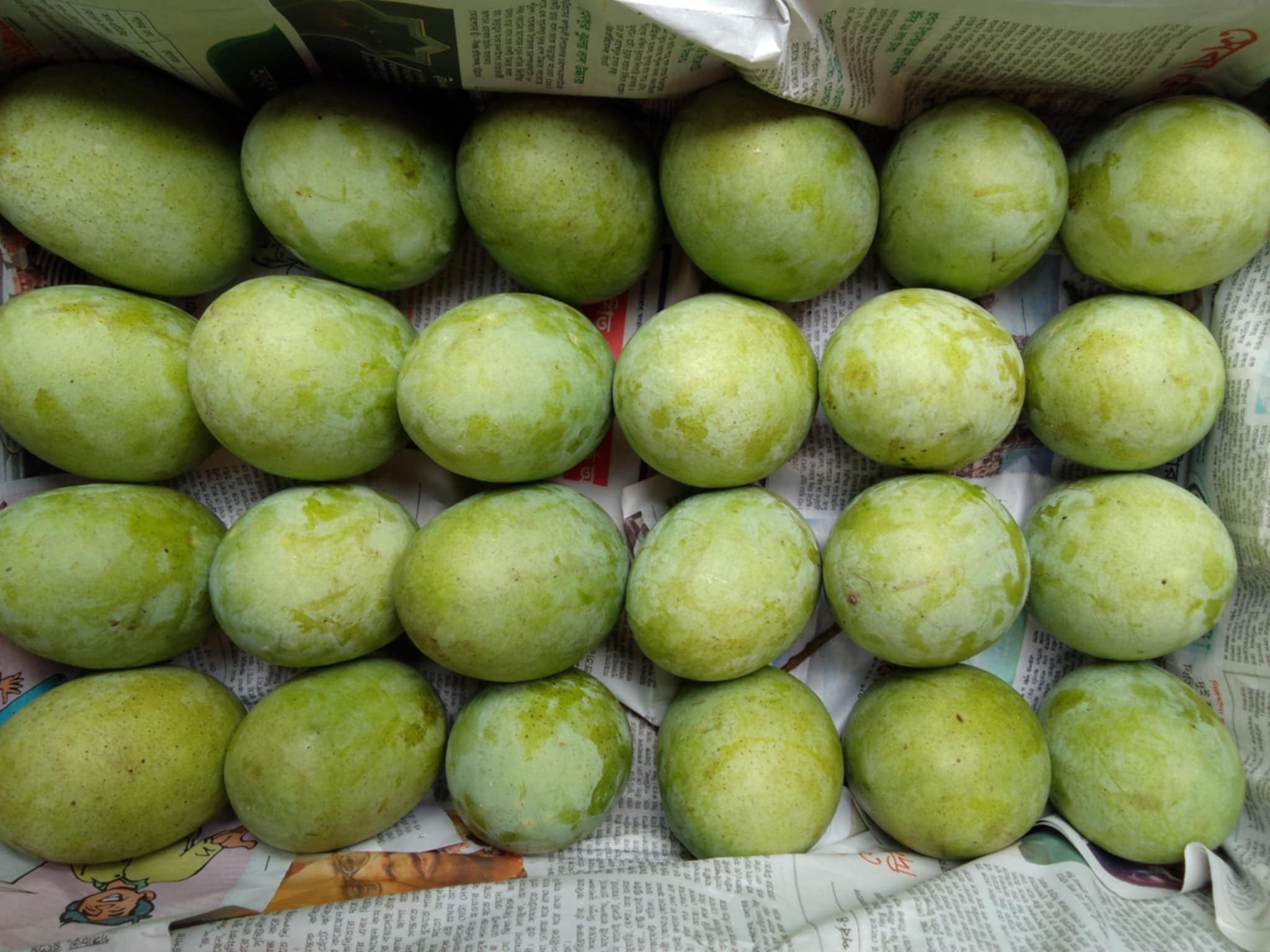 রাজশাহীর ল্যাংড়া আম (Lengra Mango)_img_6