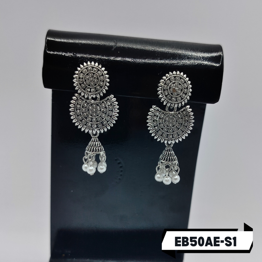 EBER-S1