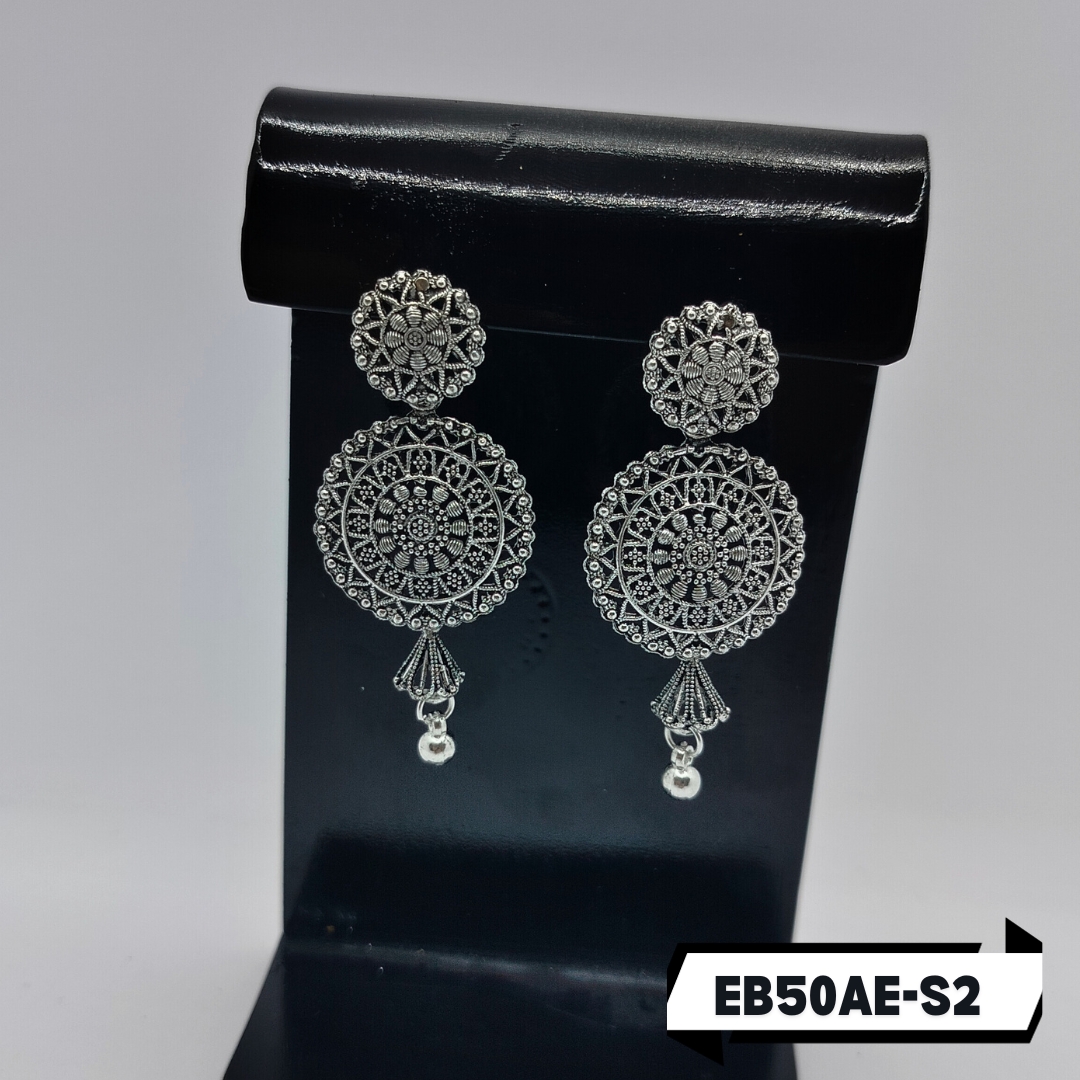 EBER-S2