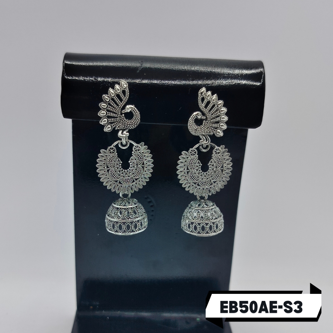 EBER-S3