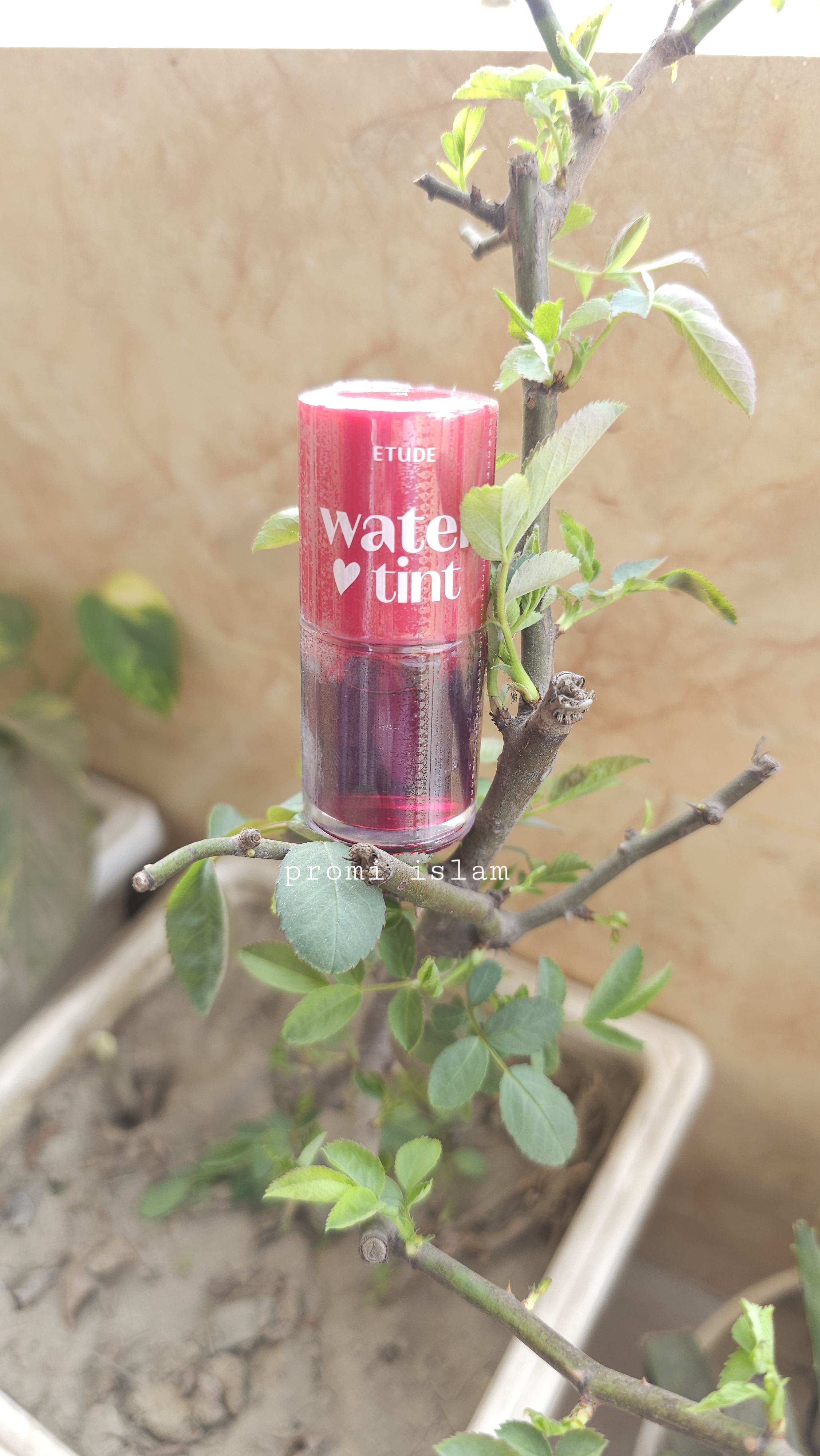 ETUDE Water Tint 💄