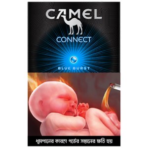 camel connect cigarette camel purple