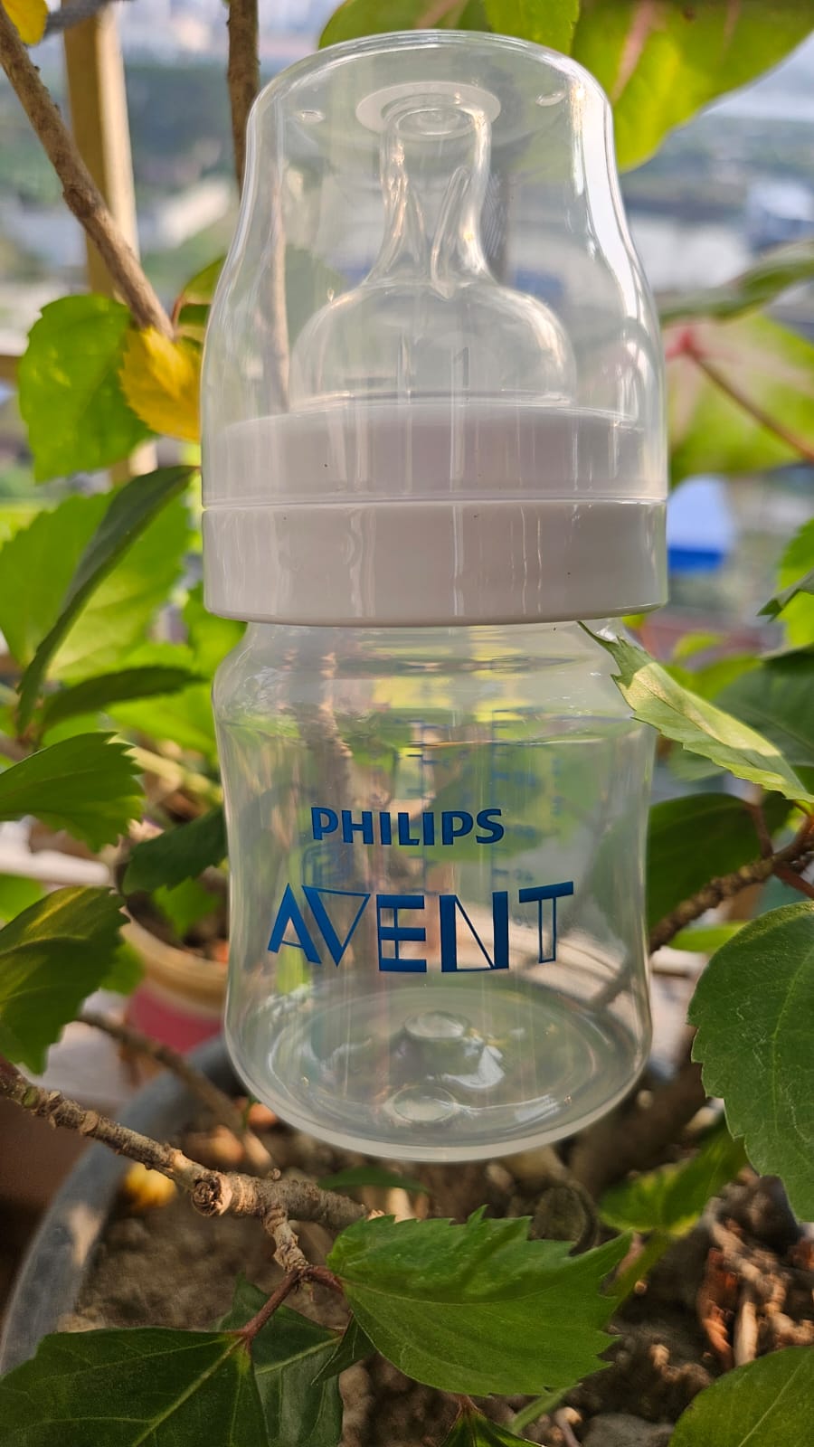 Philips Avent Anti-Colic feeder 1 pari_img_3