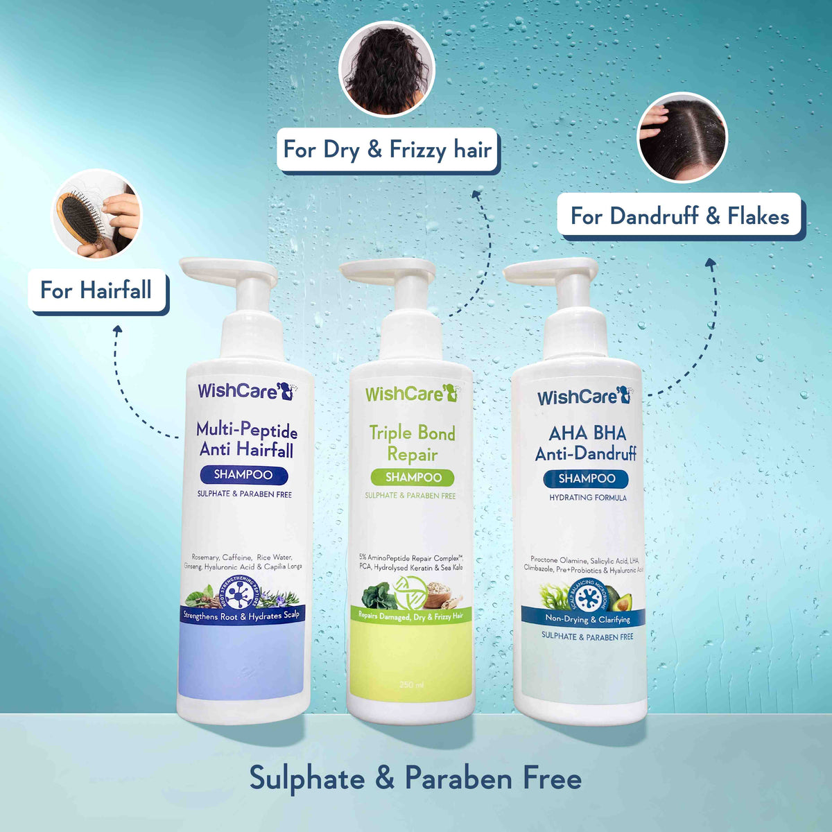 WishCare AHA BHA Anti-Dandruff Shampoo_img_1