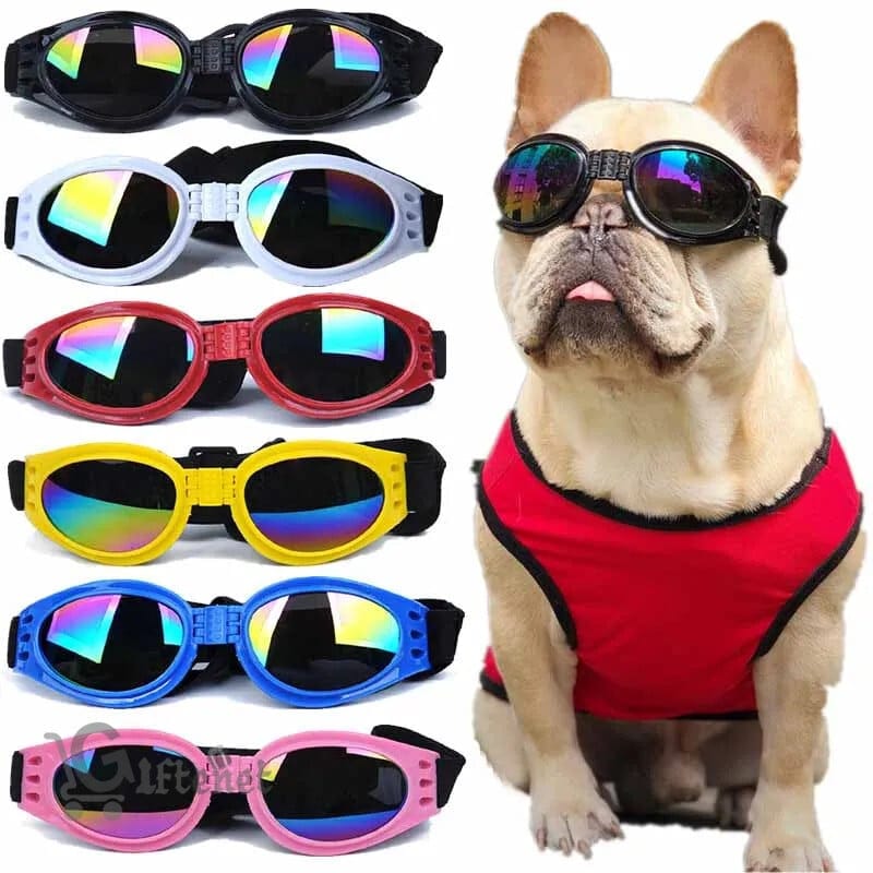 Dog Sunglass_img_1
