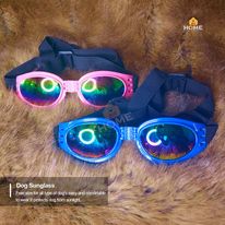 Dog Sunglass_img_2